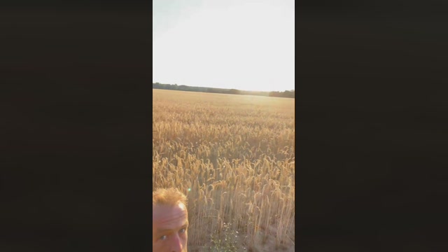 darksecret_Lar  18-07-2022